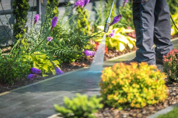 Best Pool Deck Cleaning  in Port Ewen, NY